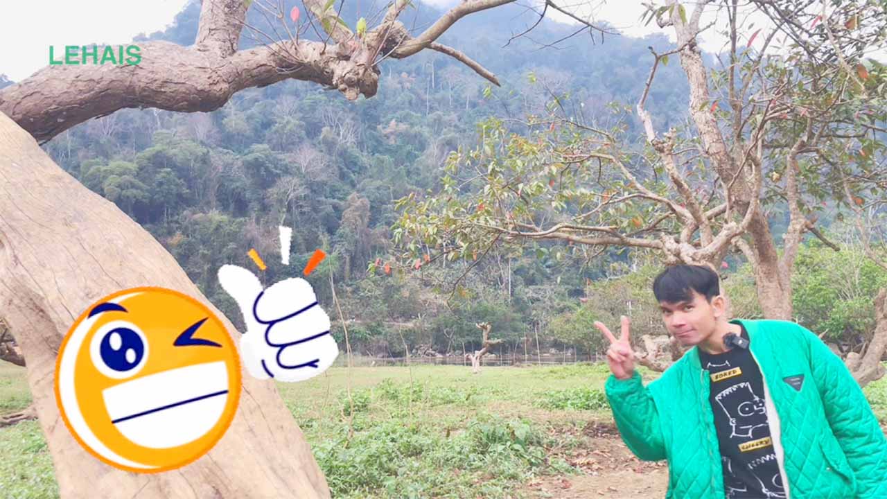 Địa điểm lý tưởng phù hợp để CAMPING và CHỤP ẢNH CƯỚI tại Hồ Ba Bể